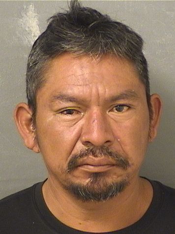  LORENZO TOMASLORENZO Photo For  LORENZO TOMASLORENZO