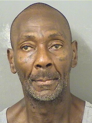  ANGELO FITZGERALD MCCLENEHAN Results from Palm Beach County Florida for  ANGELO FITZGERALD MCCLENEHAN