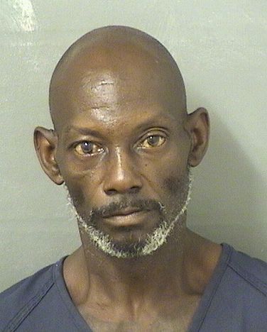  NATHAN RAYNARD LOWE Results from Palm Beach County Florida for  NATHAN RAYNARD LOWE