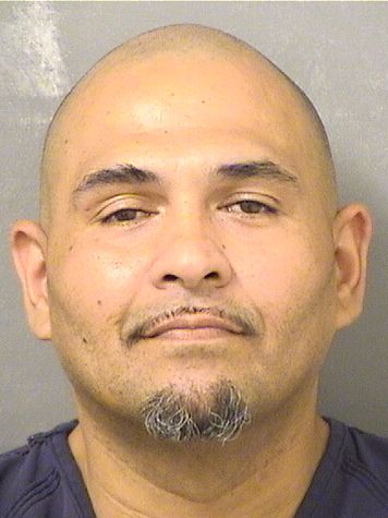  JOSE LUIS Jr RODRIGUEZ Results from Palm Beach County Florida for  JOSE LUIS Jr RODRIGUEZ