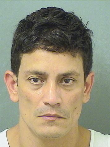  HECTOR FELIPE LEIVA Results from Palm Beach County Florida for  HECTOR FELIPE LEIVA