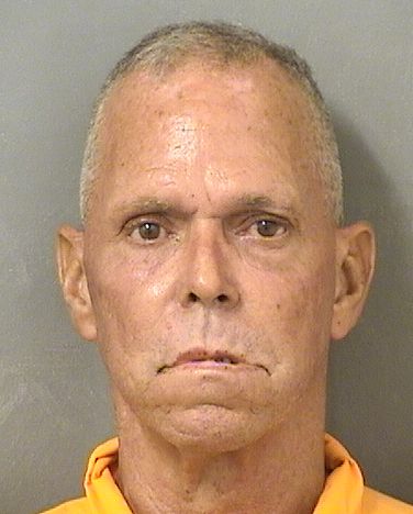  MICHAEL WALTER BROWN Results from Palm Beach County Florida for  MICHAEL WALTER BROWN