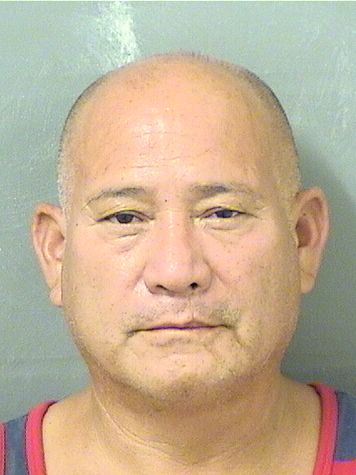  NELSON ALEXANDER ECHEVERRIA Results from Palm Beach County Florida for  NELSON ALEXANDER ECHEVERRIA