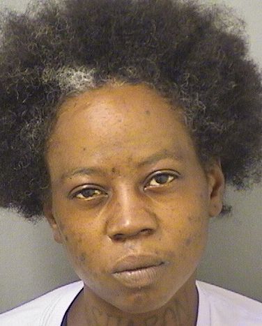  TAMEKA NICOLE IVERY Results from Palm Beach County Florida for  TAMEKA NICOLE IVERY