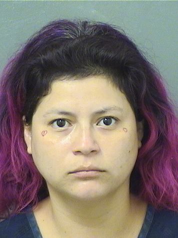  JESSIE JAMELETTE CRUZ Results from Palm Beach County Florida for  JESSIE JAMELETTE CRUZ