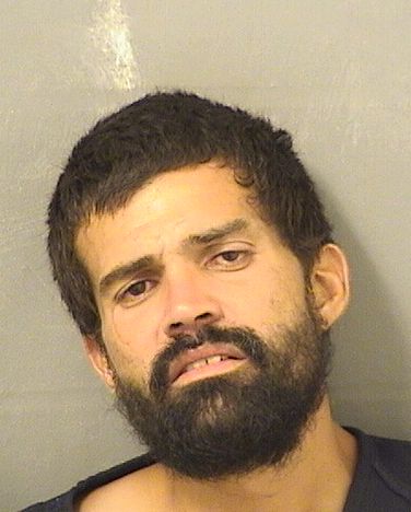  ROBERT  Jr VALEZ Results from Palm Beach County Florida for  ROBERT  Jr VALEZ