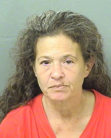  MICHELE LAUREN CHIRILLO Results from Palm Beach County Florida for  MICHELE LAUREN CHIRILLO