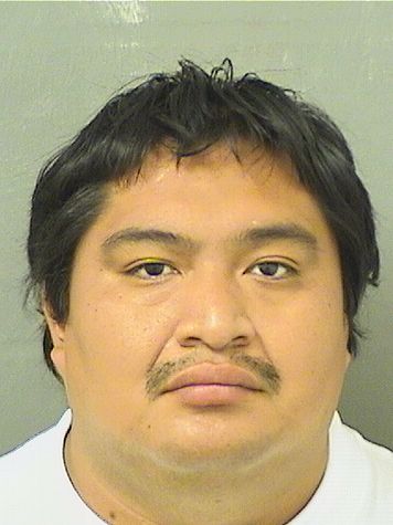  MIGUEL ANGEL PASCUAL Results from Palm Beach County Florida for  MIGUEL ANGEL PASCUAL