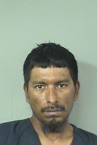 JUAN CARLOS Jr ZAVALA Results from Palm Beach County Florida for JUAN CARLOS Jr ZAVALA JUAN CARLOS Jr ZAVALA Results from Palm Beach County Florida for JUAN CARLOS Jr ZAVALA
