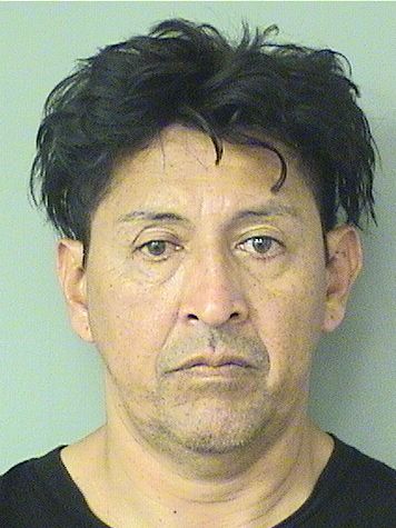  SERGIO VELANDIA Results from Palm Beach County Florida for  SERGIO VELANDIA