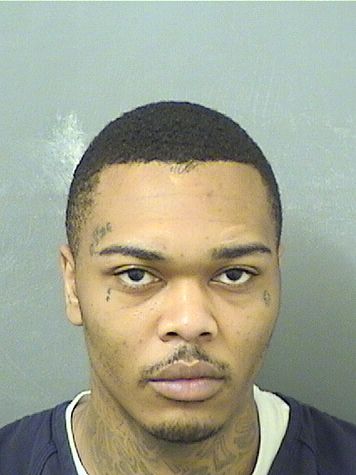  DARRELL L BRIDGETT Results from Palm Beach County Florida for  DARRELL L BRIDGETT