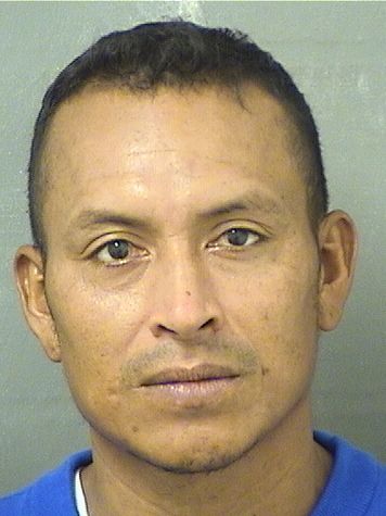  EBER PADILLAFIGUEROA Results from Palm Beach County Florida for  EBER PADILLAFIGUEROA