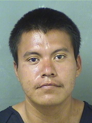 WALNER VELASQUEZLOPEZ Results from Palm Beach County Florida for WALNER VELASQUEZLOPEZ WALNER VELASQUEZLOPEZ Results from Palm Beach County Florida for WALNER VELASQUEZLOPEZ