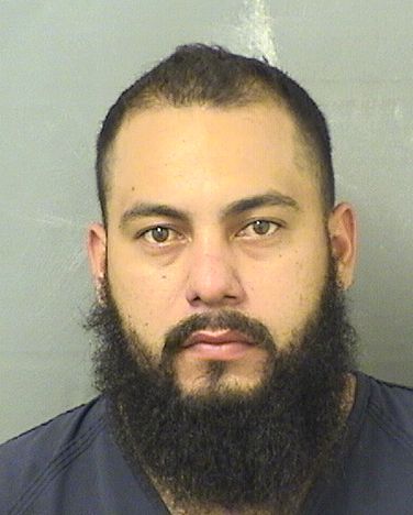  HECTOR ENRIQUE CASERASMOLINA Results from Palm Beach County Florida for  HECTOR ENRIQUE CASERASMOLINA