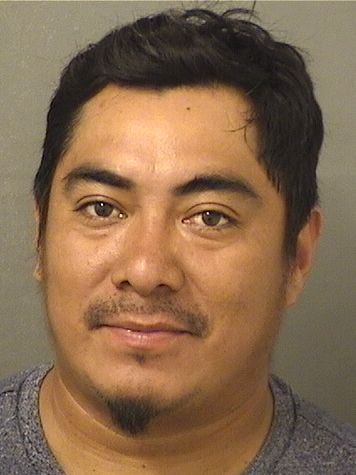  ALEXANDER ESAU VASQUEZPEREZ Resultados de la busqueda para Palm Beach County Florida para  ALEXANDER ESAU VASQUEZPEREZ