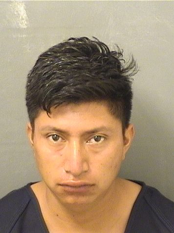  OTTO M LOPEZ Results from Palm Beach County Florida for  OTTO M LOPEZ