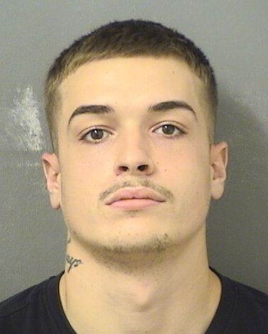  GEORGESLUCAS ALVES Results from Palm Beach County Florida for  GEORGESLUCAS ALVES