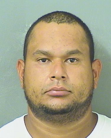  JOHN NICHOLAS BELL Results from Palm Beach County Florida for  JOHN NICHOLAS BELL