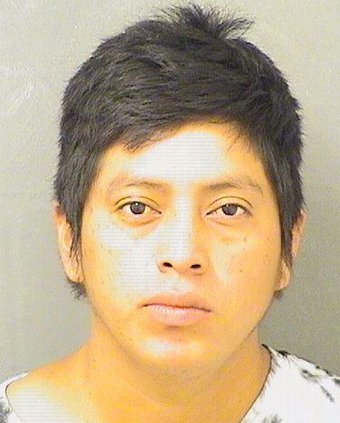  SELVIN USIEL VASQUEZVINCENTE Results from Palm Beach County Florida for  SELVIN USIEL VASQUEZVINCENTE
