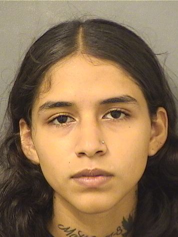  ANAYEL L LUGOPRESTEGUI Results from Palm Beach County Florida for  ANAYEL L LUGOPRESTEGUI