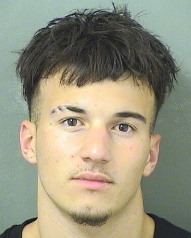  ARMAN BAHA ILTER Results from Palm Beach County Florida for  ARMAN BAHA ILTER