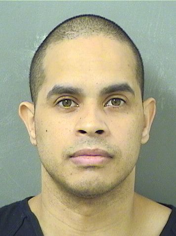  CARLOS JUAN DELVALLE Results from Palm Beach County Florida for  CARLOS JUAN DELVALLE