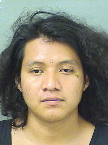  BENJAMIN MATEOGASPAR Results from Palm Beach County Florida for  BENJAMIN MATEOGASPAR