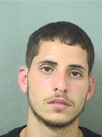  NAPOLES HANSEL HERNANDEZ Results from Palm Beach County Florida for  NAPOLES HANSEL HERNANDEZ