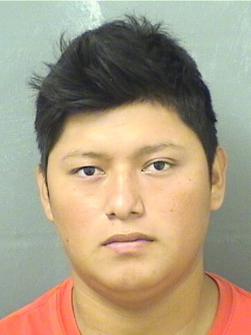  HUBER VELASQUEZHERNANDEZ Results from Palm Beach County Florida for  HUBER VELASQUEZHERNANDEZ