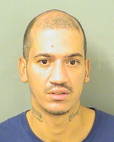 ARNALDO ANDRES MURIEL Results from Palm Beach County Florida for  ARNALDO ANDRES MURIEL