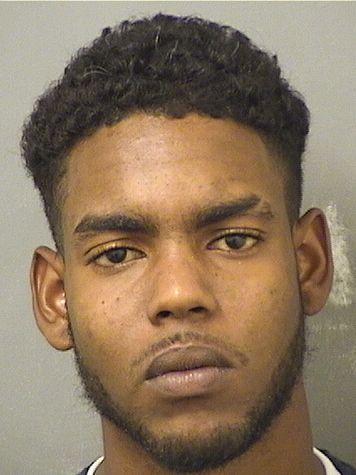  DINELLE WILLIAMS Results from Palm Beach County Florida for  DINELLE WILLIAMS