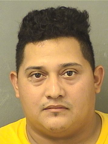  FRANCISCO ANTONIO VINDELJIMENEZ Resultados de la busqueda para Palm Beach County Florida para  FRANCISCO ANTONIO VINDELJIMENEZ
