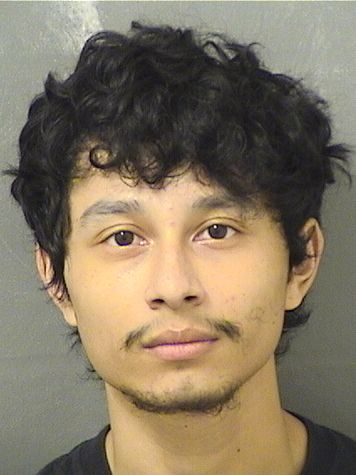  CHRISTIAN TYLER MANCIA Results from Palm Beach County Florida for  CHRISTIAN TYLER MANCIA