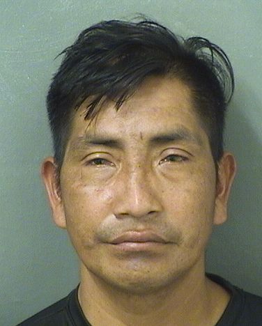  ROMULO CULAJAY Resultados de la busqueda para Palm Beach County Florida para  ROMULO CULAJAY