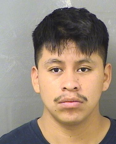  BRAYAN ALEXANDER TAY PEREZ Results from Palm Beach County Florida for  BRAYAN ALEXANDER TAY PEREZ