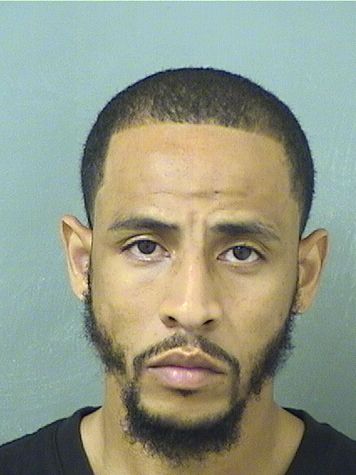  TERRENCE EMBERY Results from Palm Beach County Florida for  TERRENCE EMBERY