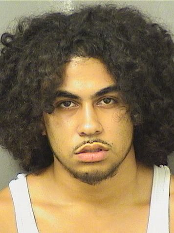  RAMON A RAMOS Results from Palm Beach County Florida for  RAMON A RAMOS