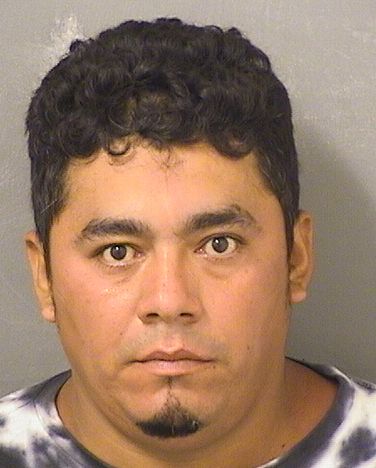 EDIZON GIOVANNY ZELADACORDOVA Photos For  EDIZON GIOVANNY ZELADACORDOVA  EDIZON GIOVANNY ZELADACORDOVA Photo For  EDIZON GIOVANNY ZELADACORDOVA