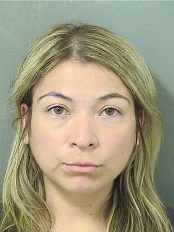  VALERIA VICTORIA STEINMETZ Results from Palm Beach County Florida for  VALERIA VICTORIA STEINMETZ