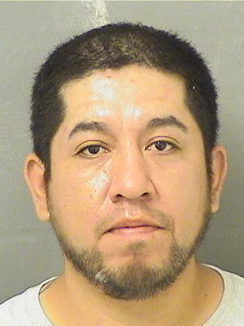  BORISBENJAMIN HERNANDEZHERRERA Results from Palm Beach County Florida for  BORISBENJAMIN HERNANDEZHERRERA