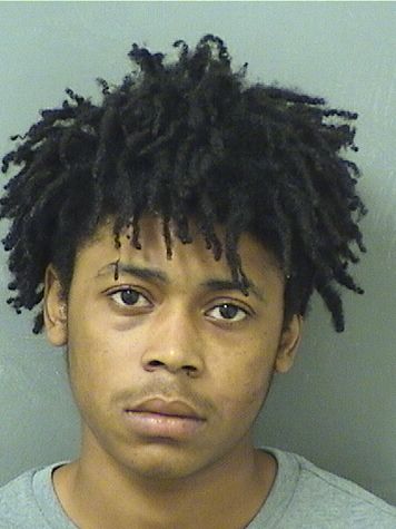  BRYON STANLEYDWAINE JOHNSON Results from Palm Beach County Florida for  BRYON STANLEYDWAINE JOHNSON