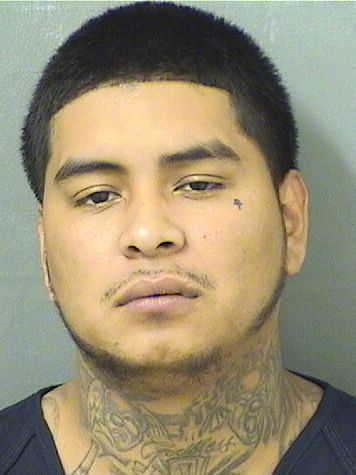  ENER BENITEZ Resultados de la busqueda para Palm Beach County Florida para  ENER BENITEZ