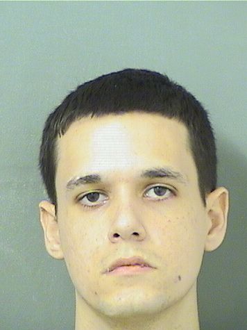  JORDAN MICHAELJAMES DELPOZO Results from Palm Beach County Florida for  JORDAN MICHAELJAMES DELPOZO