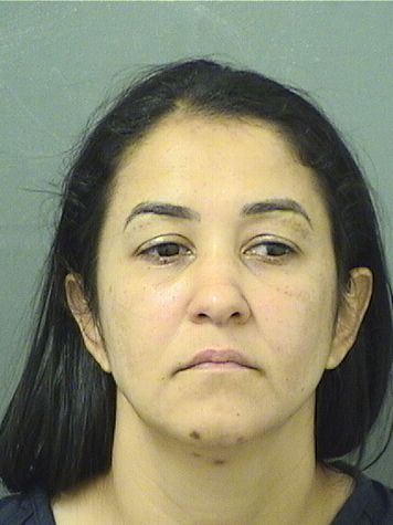  ALZILANE DESOUZA Results from Palm Beach County Florida for  ALZILANE DESOUZA