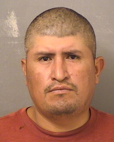  NARCIZO ZUNIGA Resultados de la busqueda para Palm Beach County Florida para  NARCIZO ZUNIGA