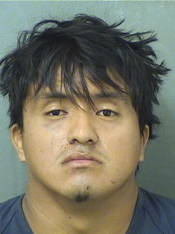  WALTER COC Results from Palm Beach County Florida for  WALTER COC