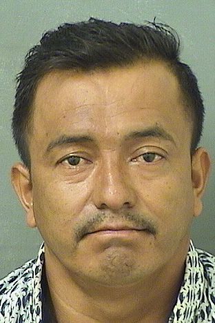  ADBEL VILLATORO-CASTILLO Resultados de la busqueda para Palm Beach County Florida para  ADBEL VILLATORO-CASTILLO