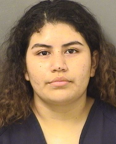  LILIAN G PAEZ Results from Palm Beach County Florida for  LILIAN G PAEZ