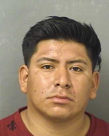  WILLIAM O LOPEZVASQUEZ Resultados de la busqueda para Palm Beach County Florida para  WILLIAM O LOPEZVASQUEZ
