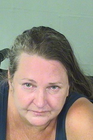 SALLY D NOYER Results from Palm Beach County Florida for SALLY D NOYER SALLY D NOYER Results from Palm Beach County Florida for SALLY D NOYER